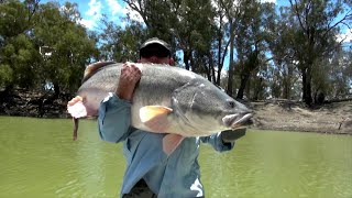 IFISH - Murray Cod with Rod Mackenzie