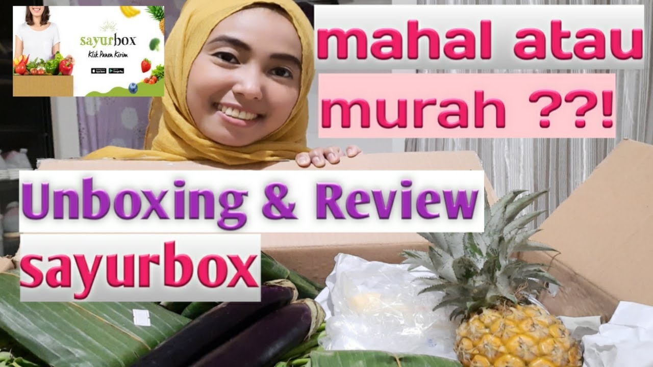 BELANJA DI APLIKASI SAYURBOX | 100 RB DAPAT APA AJA?? UNBOXING & REVIEW ...