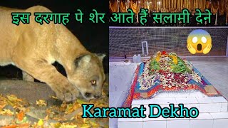 Sher Ate Hai Yaha Salami Dene 🦁 Dargah of Pahalwan Shah Baba, High Hill Mountain Mumbra | HalalVlogs