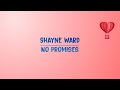 Shayne Ward - No Promises (Lyric)