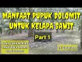 manfaat pupuk dolomit untuk kelapa sawit || cara memupuk sawit yang benar part 1