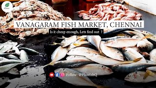 The Chennai Fish Market - New Vanagaram Fish Market | Best Wholesale fish Market in Chennai