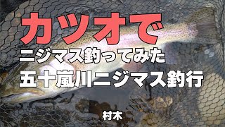 6.15 カツオでニジマス釣ってみた。五十嵐川ニジマス釣行