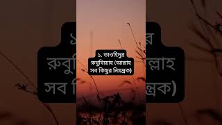 তাওহিদ ৩ প্রকার: ইসলামের মৌলিক একতা ও মুসলিম বিশ্বাসের সিদ্ধান্ত #religion #islamicgeneral #quote