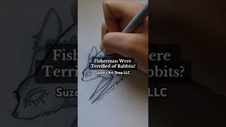 Fisherman Thought Rabbits Would Curse Them? Rabbit Fun Fact Speed Drawing #suzensartshop