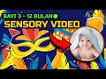 Sensory Video for Baby - Video Untuk Menenangkan Bayi Rewel | Rafael Parenting