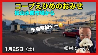 松山市 新居浜市 今治市 スーパー おすすめ 野菜 魚 肉 惣菜 新鮮 安い 品揃えがいい　　#瀬戸内海の魚　#コープえひめ