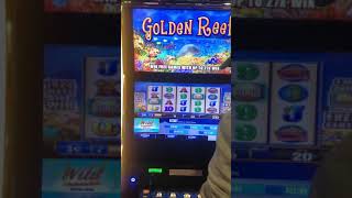 Golden Reef big hit Baby!