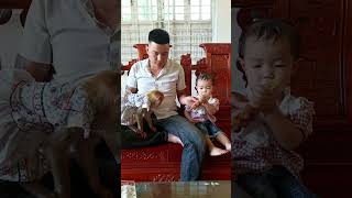 Fun party for dad, monkey TiTi and baby Bear. #cute #shortsvideo #monkey