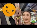 【タイ旅行vlog 】part 1. 初バンコク🇹🇭結婚式のために友人集結！観光スポット、グルメ、etc. part 1