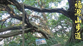 新北鶯歌/桃園龜山福源山步道來回(2018.7.31)