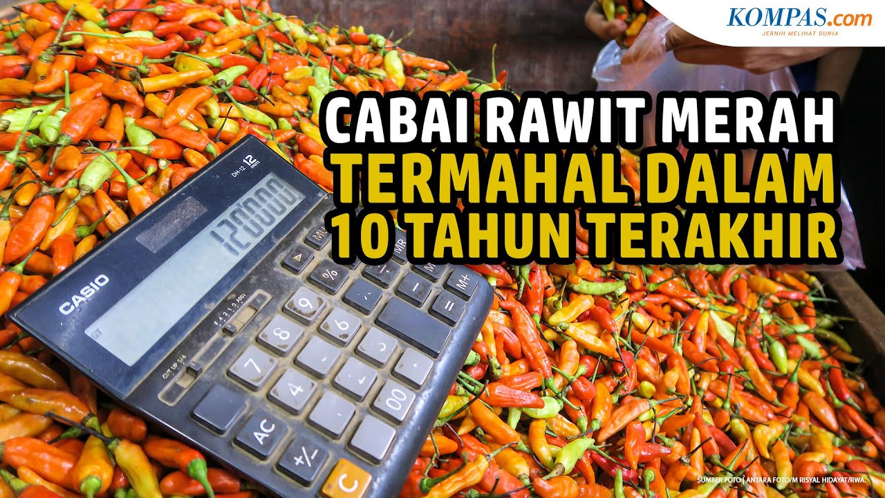 Termahal Dalam 10 Tahun Terakhir, Harga Cabai Rawit Merah Tembus Rp 130 ...