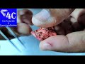 munga natural vs dyed real vs fake in telugu 4c how to identify real and dyed coral పగడం