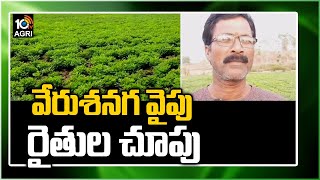 వేరుశనగ వైపు రైతుల చూపు | Farmers Earn Huge Profits With Groundnut Crop | Matti Manishi | 10TV