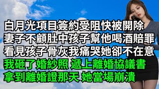 白月光項目簽約受阻快被開除，妻子竟不顧肚中孩子幫他喝酒賠罪，看見孩子骨灰我痛哭她卻不在意我砸了婚紗照 遞上離婚協議書，拿到離婚證那天 她當場崩潰【三味時光】#激情故事#大彬情感#夢雅故事#小說#爽文