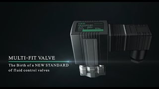 CKD: FFB/FFG Series Multi-Fit Valve