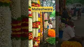 Flower markets in Bengaluru    #bengaluru #market #flowers