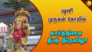 பழனி முருகன் கோவில் |  கார்த்திகை தீபத் திருவிழா | Palani Murugan Temple