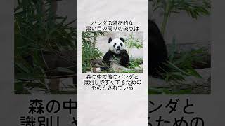 パンダに関する面白い雑学 #かわいい動物 #パンダ #動物 #豆知識 #雑学 #shorts