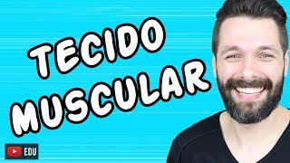 TECIDO MUSCULAR - HISTOLOGIA | Biologia com Samuel Cunha