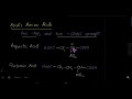 amino acids alpha beta u0026 gamma amino acids