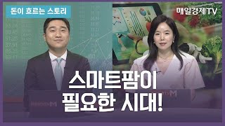 [돈이 흐르는 스토리] / 스마트팜이 필요한 시대!  / 배태준 변호사 / 매일경제TV