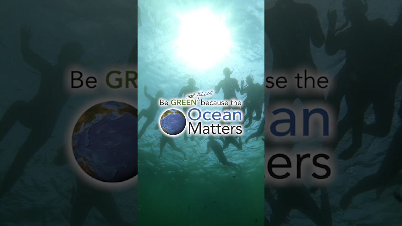 It Takes Everyone Join Team Ocean Youtube