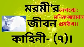 মরমী'র জীবন কাহিনী-(৭)।নেপথ্যে : মনিরুজ্জামান প্রমউখ।#entertainment #funny #life_story #comedy #best