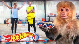 This MONKEY challenge is BANANAS!!! | Fast Track | @HotWheels