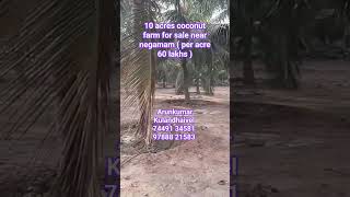 10 acres coconut farm for sale near negamam ( Near Pollachi ) 7449134581 \u0026 9788821583