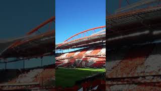 Benfica - Porto 1:0 (Oct 7, 2018) - coreo