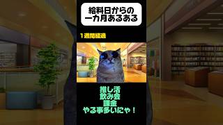 【猫ミームPart 2】給料もらってからの1カ月編#shorts