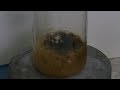 Peroxymonosulfuric acid (Piranha solution)