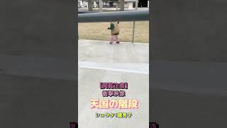 【閲覧注意】衝撃映像💦天国の階段😁ショウタ1歳男子👦