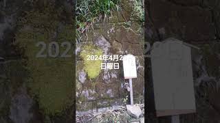 🇯🇵 熊本県水俣市🌸💚💖💐✴～幸せを呼ぶ、グリーン・ハート🎉💚💡💋🐰～