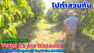 (ยกเลิกการขาย)#ที่สวนสุพรรณบุรี เกือบ 4 ไร่ ขายถูก 1.5 ล้าน ต่อรองได้ (EP.116) อำเภอเมืองสุพรรณบุรี