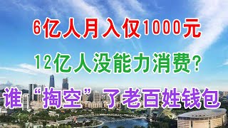 6亿人月入仅1000元，12亿人没能力消费？谁“掏空”了老百姓钱包。中国经济