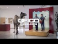 geico