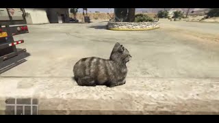 GTA V: Scaring a Cat