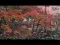 奈良公園紅葉.wmv