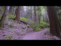 4k virtual forest walk 5 hours walking in the woods grand ridge trail issaquah wa