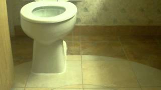 Toilet Overflows in Hotel Restroom, Rapid City