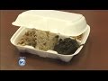 Honolulu mayor backs stronger plastic bag ban as Maui shifts focus to styrofoam