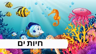 לומדים חיות ים לילדים, מתאים גם לפעוטות | כוכב ים | טריגון | כריש | דג | צב | תמנון | מדוזה | כלב ים