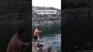 Вот это улов