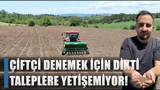 Çiftçi Denemek İçin Dikti Taleplere Yetişemiyor! / AGRO TV HABER