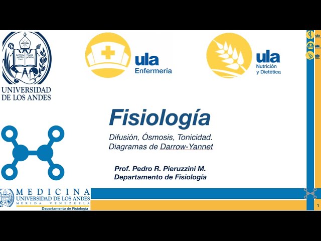 Difusión, Ósmosis. Diagramas de Darrow Yannet.’ Difusión, Ósmosis. Diagramas de Darrow Yannet.