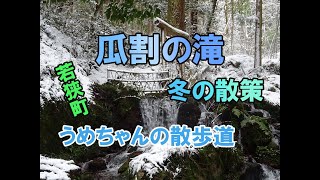 【冬の瓜割の滝】散策してみました。木々に雪が積もり神秘的な雰囲気をかもし出しています❣　木立から落ちる雪があたかも雪が降っているようです。水音だけで、誰もいない場所を独り占めの時間。