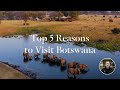 Top 5 reasons to visit Botswana