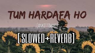 Tum Hardafa Ho | Slowed+Reverb | Lofi | Lowpitch | Ankit Tiwari | reels